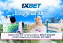 Evaginarium – уникальная игра от Евы Эльфи на 1xBet!